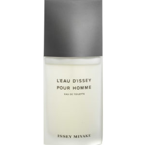 Issey miyake l’eau d’issey pour homme edt 100ml tester